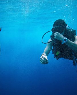 Scuba Diving